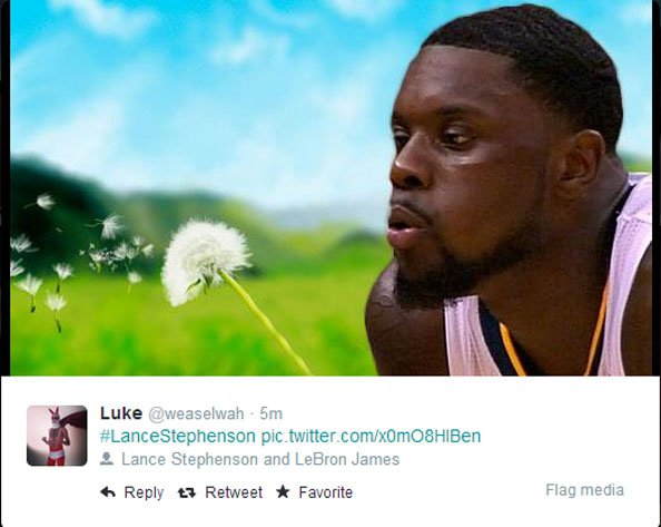 lancedandelion