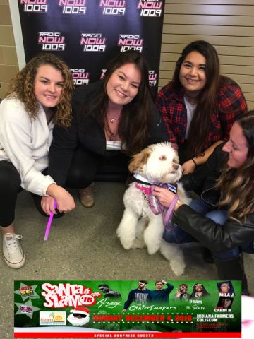 Pearly the Therapy Dog Photo Booth -Fishers Pediatric Dentistry