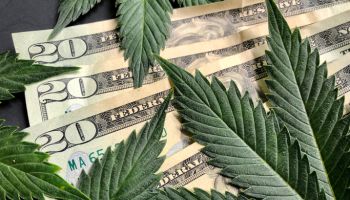 Cannabis leaves with American twenty dollar bills